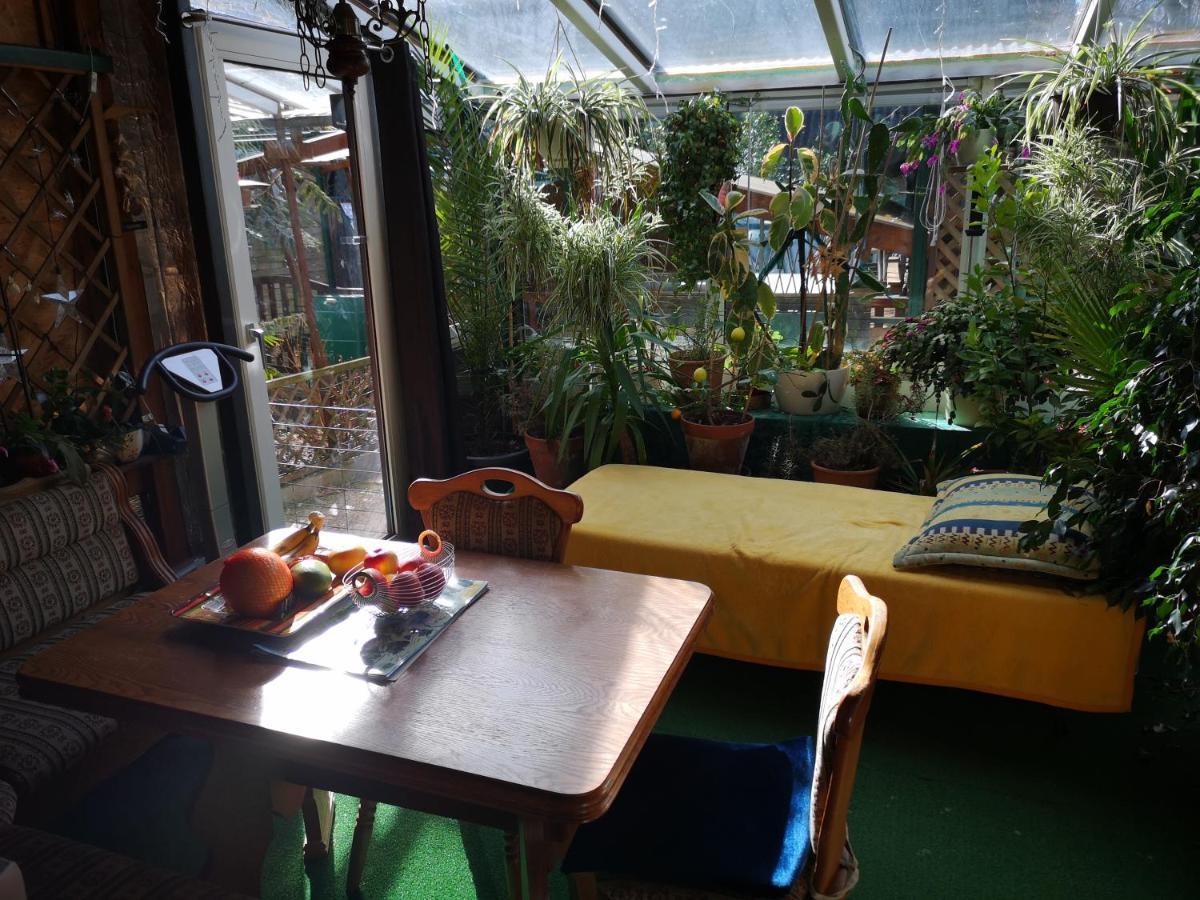 Ferienwohnung Krottensee 그문덴 외부 사진